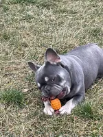 processed/b39623a1-bbec-44be-b92f-8c5a9a331606/listing/da07d2f7-8a70-4a9b-bfe7-c69f898ce2e6/f6917f6f-d72f-46c0-ac38-c8d543c53607