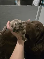 processed/b3975635-74f3-4af3-9402-c725ba833b4d/listing/06316c00-1616-4a8e-9736-57339427a798/79aae5bf-9926-4051-99f5-916f30f64cee