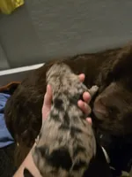 processed/b3975635-74f3-4af3-9402-c725ba833b4d/listing/06316c00-1616-4a8e-9736-57339427a798/ada90615-0711-4429-846a-a58592489bd2