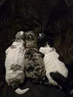 processed/b3975635-74f3-4af3-9402-c725ba833b4d/listing/9839f182-ee64-4460-a699-f4f41668f144/4d4cecc2-16b1-48b4-b77f-933c0538a28c