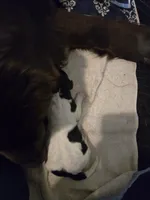 processed/b3975635-74f3-4af3-9402-c725ba833b4d/listing/9839f182-ee64-4460-a699-f4f41668f144/4e82855a-d9fa-4c56-b73e-898b3c132578