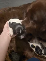 processed/b3975635-74f3-4af3-9402-c725ba833b4d/listing/9839f182-ee64-4460-a699-f4f41668f144/7384f9c9-0254-40b2-9fac-40266288aae2