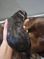 processed/b3975635-74f3-4af3-9402-c725ba833b4d/listing/d4bbe87e-1b9a-4798-af08-61b8d3a54601/31cd424c-2c52-4826-af87-490398a25618