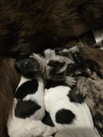 processed/b3975635-74f3-4af3-9402-c725ba833b4d/listing/d4bbe87e-1b9a-4798-af08-61b8d3a54601/6ce1cc61-a8c0-457d-8f33-2efcca003728