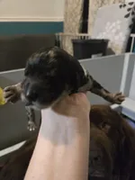 processed/b3975635-74f3-4af3-9402-c725ba833b4d/listing/d4bbe87e-1b9a-4798-af08-61b8d3a54601/b26bc085-9e91-422e-af17-20989d830ee2