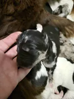 processed/b3975635-74f3-4af3-9402-c725ba833b4d/listing/d4bbe87e-1b9a-4798-af08-61b8d3a54601/d5fea5bd-00c1-4483-b614-ef8cfcd0b1a4