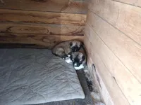 processed/b3a27e76-60b0-427c-91da-94d8ede7d867/facility/2c8a1273-295d-47d6-9d17-65db1c25209a