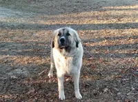 processed/b3a27e76-60b0-427c-91da-94d8ede7d867/facility/46ff824e-4acb-498d-b8f1-afd29a683cd3