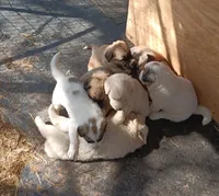 processed/b3a27e76-60b0-427c-91da-94d8ede7d867/facility/c7ac0bbd-21f2-4345-a4f9-05373859cff3