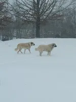 processed/b3a27e76-60b0-427c-91da-94d8ede7d867/facility/d6972c31-f69e-477f-ac53-f48c72b85818