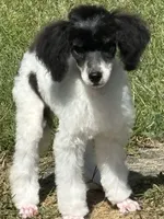 processed/b3a833fc-69c7-4906-a079-be34cca339fb/listing/340d01e3-f375-4cfd-80b1-adcbe7ce4032/44ea3f1f-2198-49b8-8ca7-00c37475cd87