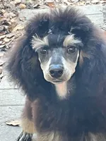 processed/b3a833fc-69c7-4906-a079-be34cca339fb/listing/340d01e3-f375-4cfd-80b1-adcbe7ce4032/816db001-7003-4c94-a58e-717fdd8f75e1