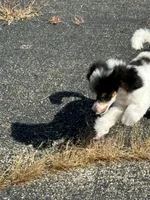 processed/b3a833fc-69c7-4906-a079-be34cca339fb/listing/47c81f22-bfd8-4a1e-8775-1e39e703d314/023712be-8afa-4f55-9a3b-0ca0460dd4f1