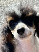 processed/b3a833fc-69c7-4906-a079-be34cca339fb/listing/47c81f22-bfd8-4a1e-8775-1e39e703d314/5478b483-b3e2-4ab9-b229-93894dddd555