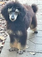 processed/b3a833fc-69c7-4906-a079-be34cca339fb/listing/47c81f22-bfd8-4a1e-8775-1e39e703d314/86789442-e7be-4762-bc24-bf6e18c3e320