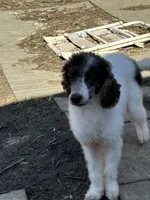 processed/b3a833fc-69c7-4906-a079-be34cca339fb/listing/47c81f22-bfd8-4a1e-8775-1e39e703d314/9ff649d0-3870-4c7d-b91c-39ae73eb9fb8