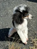 processed/b3a833fc-69c7-4906-a079-be34cca339fb/listing/47c81f22-bfd8-4a1e-8775-1e39e703d314/ed48ac53-dc2f-4f69-8b63-44cc4089b31c