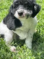 processed/b3a833fc-69c7-4906-a079-be34cca339fb/listing/52f05512-e759-4038-9547-bf9c46a2f276/3178b703-a20c-4283-876e-72c5130225cf