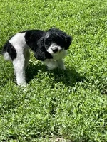 processed/b3a833fc-69c7-4906-a079-be34cca339fb/listing/52f05512-e759-4038-9547-bf9c46a2f276/3e009c78-b6f7-4cd2-9705-77526a114402