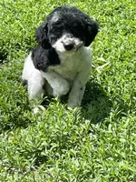 processed/b3a833fc-69c7-4906-a079-be34cca339fb/listing/52f05512-e759-4038-9547-bf9c46a2f276/8bd64292-14f5-4393-b893-f3fffe4d8ce7