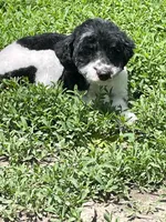 processed/b3a833fc-69c7-4906-a079-be34cca339fb/listing/52f05512-e759-4038-9547-bf9c46a2f276/b0c05d6e-f838-423d-8366-54d61ce527db