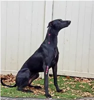 processed/b3b78b85-0db7-4109-947f-5e7a3003f9f0/facility/1e15755b-3aff-4eda-90b4-168088f4cd31