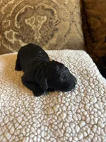 processed/b3bc2046-6489-4396-a83f-09e313e4e4ba/listing/0862eed0-103f-4866-8165-d5e2385d9ad1/12abdae4-0a72-4f9a-af56-257ab5877335