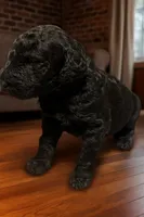 processed/b3bc2046-6489-4396-a83f-09e313e4e4ba/listing/50ac9455-6d0e-462e-9f4b-ca5a5cc5082f/e0df3545-fe36-4a05-8984-fa9a260dca60