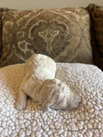 processed/b3bc2046-6489-4396-a83f-09e313e4e4ba/listing/e27ade4a-0e7a-4c26-8c77-061087f39786/f109c80e-a8b0-43d3-8dd4-866aa8de562c