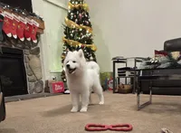 processed/b3bd4a2f-7b6f-4dbf-b4dd-b4652f8a20b1/listing/0c8e9d84-85ac-4710-af1f-0096f166d420/25738347-57ad-4b51-8cf2-8b6515b4ee7a