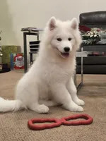 processed/b3bd4a2f-7b6f-4dbf-b4dd-b4652f8a20b1/listing/0c8e9d84-85ac-4710-af1f-0096f166d420/8ca950de-231f-4d48-b6b3-d2c03d2ff3e2