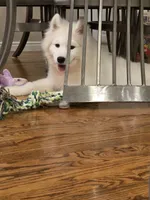 processed/b3bd4a2f-7b6f-4dbf-b4dd-b4652f8a20b1/listing/0c8e9d84-85ac-4710-af1f-0096f166d420/932d09fd-a668-4734-90a7-d55b8af7cdc0