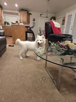 processed/b3bd4a2f-7b6f-4dbf-b4dd-b4652f8a20b1/listing/0c8e9d84-85ac-4710-af1f-0096f166d420/ae008d00-cef7-40ff-bd28-d94d10c6e06c