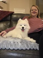 processed/b3bd4a2f-7b6f-4dbf-b4dd-b4652f8a20b1/listing/0f6b08a2-c594-4300-88b2-f6abb00b68e7/1b15a851-e356-420f-a148-b7fa30e5fe5e