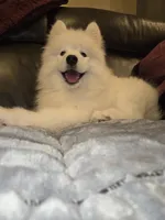 processed/b3bd4a2f-7b6f-4dbf-b4dd-b4652f8a20b1/listing/0f6b08a2-c594-4300-88b2-f6abb00b68e7/c64d67d1-3b30-4f58-b896-3c2dc59f87fb