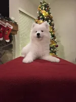 processed/b3bd4a2f-7b6f-4dbf-b4dd-b4652f8a20b1/listing/a6f8fced-9c33-417f-a243-d8e1fb4d1586/39ff482b-28bd-40e3-ac65-95e8073af7f4