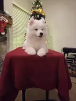 processed/b3bd4a2f-7b6f-4dbf-b4dd-b4652f8a20b1/listing/a6f8fced-9c33-417f-a243-d8e1fb4d1586/4e7ddd5f-2ab9-485b-ac79-761e3e5eafcd