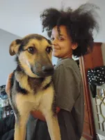 Anthony , a male German Shepherd Dog and Miniature Australian Shepherd for sale in Fort Wayne, IN – 4 of 4