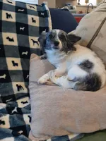 processed/b3ca41e2-6c4c-4ada-b399-5bf33f9b7fe8/facility/022170a1-475d-47c3-bcfa-f7aa679199f7