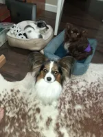 processed/b3ca41e2-6c4c-4ada-b399-5bf33f9b7fe8/facility/281d6c31-1c04-4f7b-af4f-29d5d31e2d9e