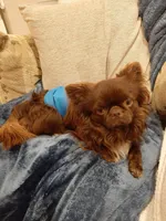 processed/b3ca41e2-6c4c-4ada-b399-5bf33f9b7fe8/facility/8308de6d-bbb9-4a43-a595-3c7d1cfcae4c