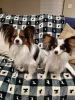 processed/b3ca41e2-6c4c-4ada-b399-5bf33f9b7fe8/facility/9c2f5bfc-089d-41bf-89fb-407b0abe8644