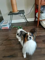 processed/b3ca41e2-6c4c-4ada-b399-5bf33f9b7fe8/facility/a86531bc-2626-4554-a11c-ba8d7b7c5f91