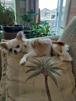 processed/b3ca41e2-6c4c-4ada-b399-5bf33f9b7fe8/facility/ab57eadc-6178-4521-88ac-08b671bb4599