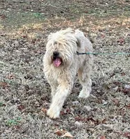 processed/b3d023e2-71cb-4ffa-ba27-d34006ffe7a2/listing/51290c1e-947f-41e5-a8b1-d2e10d9d8fe0/03f1f37b-0fed-441a-ae8c-ab9b16c0447e