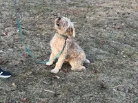 processed/b3d023e2-71cb-4ffa-ba27-d34006ffe7a2/listing/51290c1e-947f-41e5-a8b1-d2e10d9d8fe0/093d1489-1ba8-4de3-8d3e-8bb51103672e