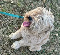 processed/b3d023e2-71cb-4ffa-ba27-d34006ffe7a2/listing/51290c1e-947f-41e5-a8b1-d2e10d9d8fe0/4ebc1bd4-133c-4368-b17f-9a51390997a7