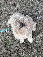 processed/b3d023e2-71cb-4ffa-ba27-d34006ffe7a2/listing/51290c1e-947f-41e5-a8b1-d2e10d9d8fe0/b85054c8-2474-4097-836b-36bab7127686