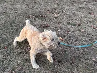 processed/b3d023e2-71cb-4ffa-ba27-d34006ffe7a2/listing/51290c1e-947f-41e5-a8b1-d2e10d9d8fe0/c82475df-cbe8-42cb-b176-2679d4610100