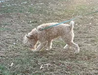 processed/b3d023e2-71cb-4ffa-ba27-d34006ffe7a2/listing/51290c1e-947f-41e5-a8b1-d2e10d9d8fe0/fb43168c-e9b3-4974-9786-d9afee48eb69